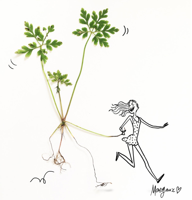 illustration margaux motin running.jpg - Margaux MOTIN | Virginie